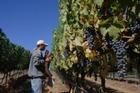 <PRE>Porter Family Vineyard Tour and Tasting</PRE>